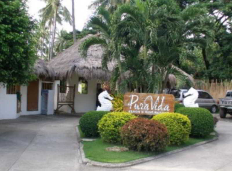 Pura Vida Beach & Dive Resort Dauin Buitenkant foto