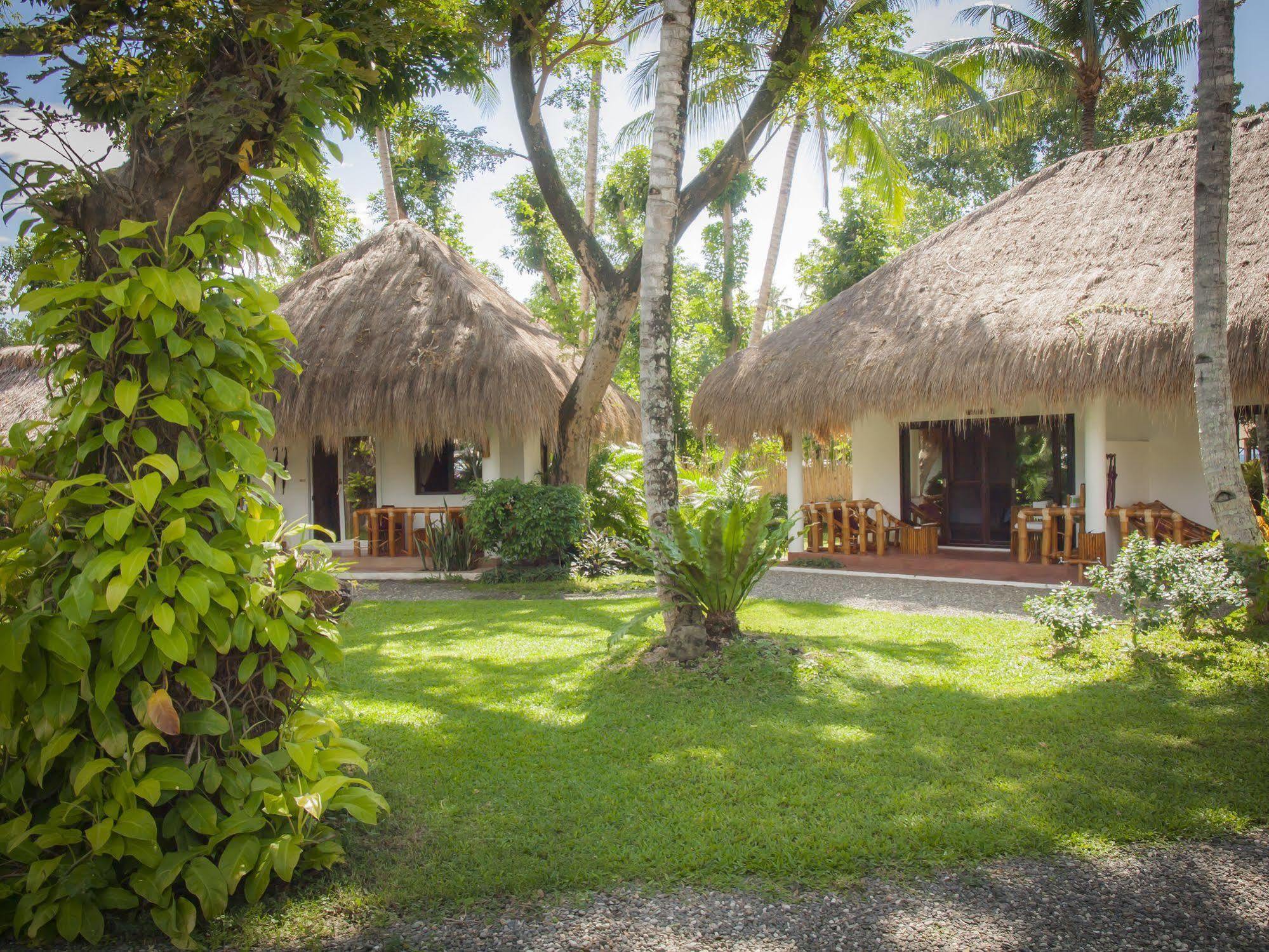 Pura Vida Beach & Dive Resort Dauin Buitenkant foto