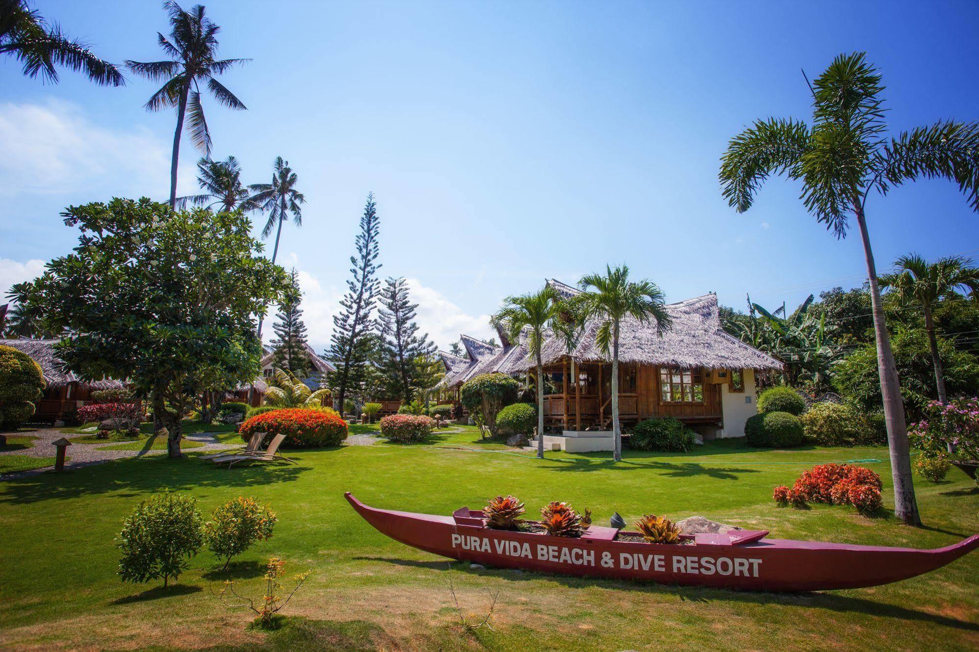 Pura Vida Beach & Dive Resort Dauin Buitenkant foto
